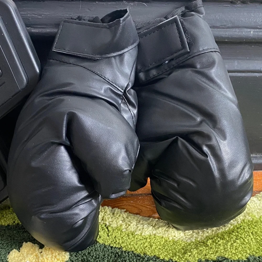 Black Bluetooth speaker boxing Pad and Gloves